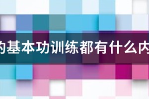篮球训练的基本要求包括什么